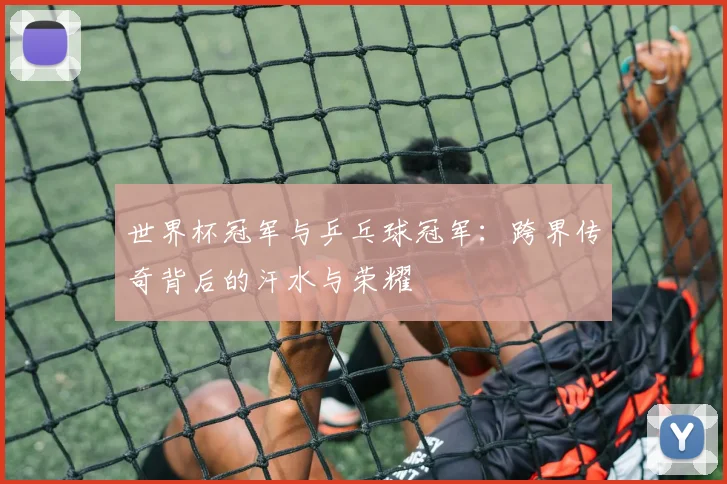世界杯冠军与乒乓球冠军：跨界传奇背后的汗水与荣耀