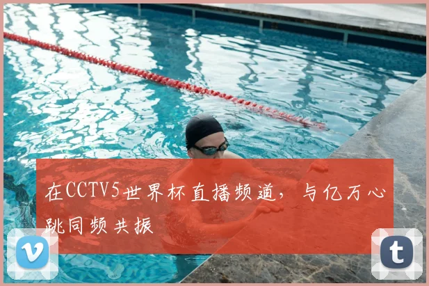 在CCTV5世界杯直播频道,与亿万心跳同频共振