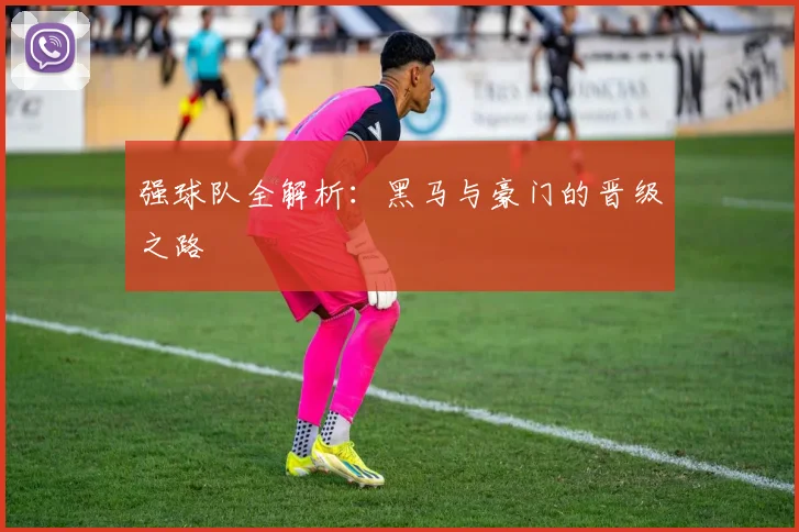 强球队全解析:黑马与豪门的晋级之路