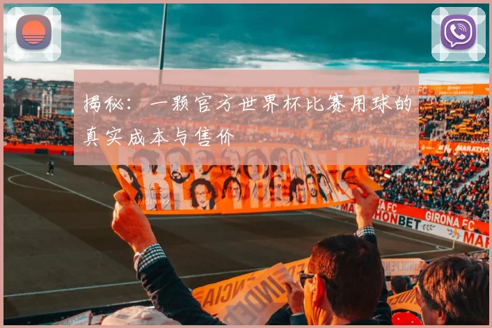 揭秘：一颗官方世界杯比赛用球的真实成本与售价