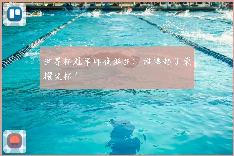世界杯冠军昨夜诞生：谁捧起了荣耀奖杯？