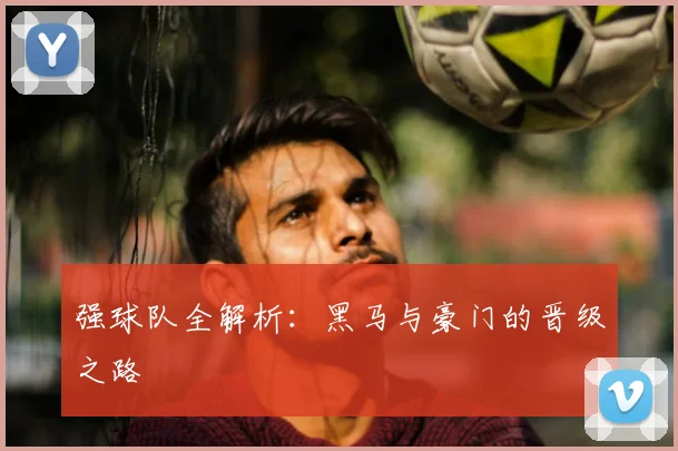 强球队全解析:黑马与豪门的晋级之路